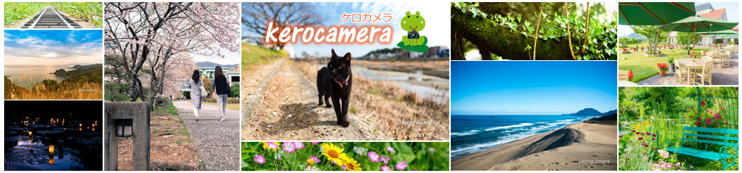 ケロカメラ