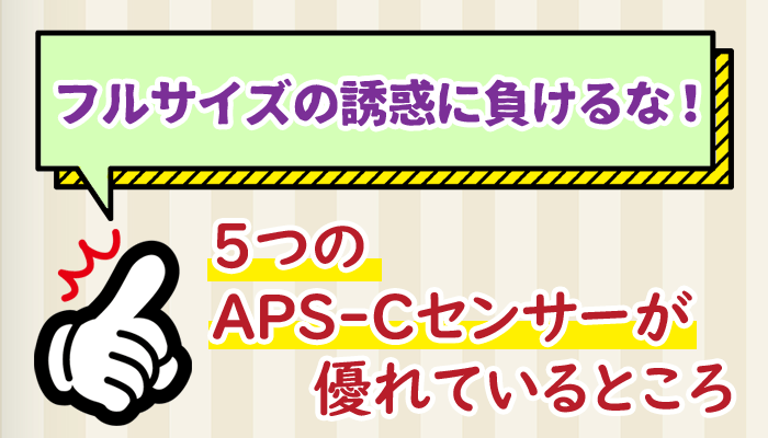 ヴァンセンヌ チェーフイングＴＫＧ仕様２サードコンパートメント