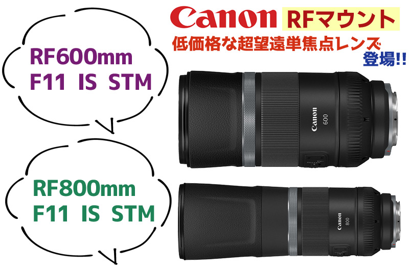 Canon RFマウントから低価格な超望遠単焦点レンズ「 RF600mm F11 IS