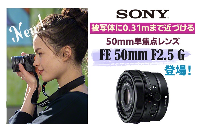 超激得定番】 ☆ソニー / SONY FE 50mm F2.5 G SEL50F25G ディーライズ