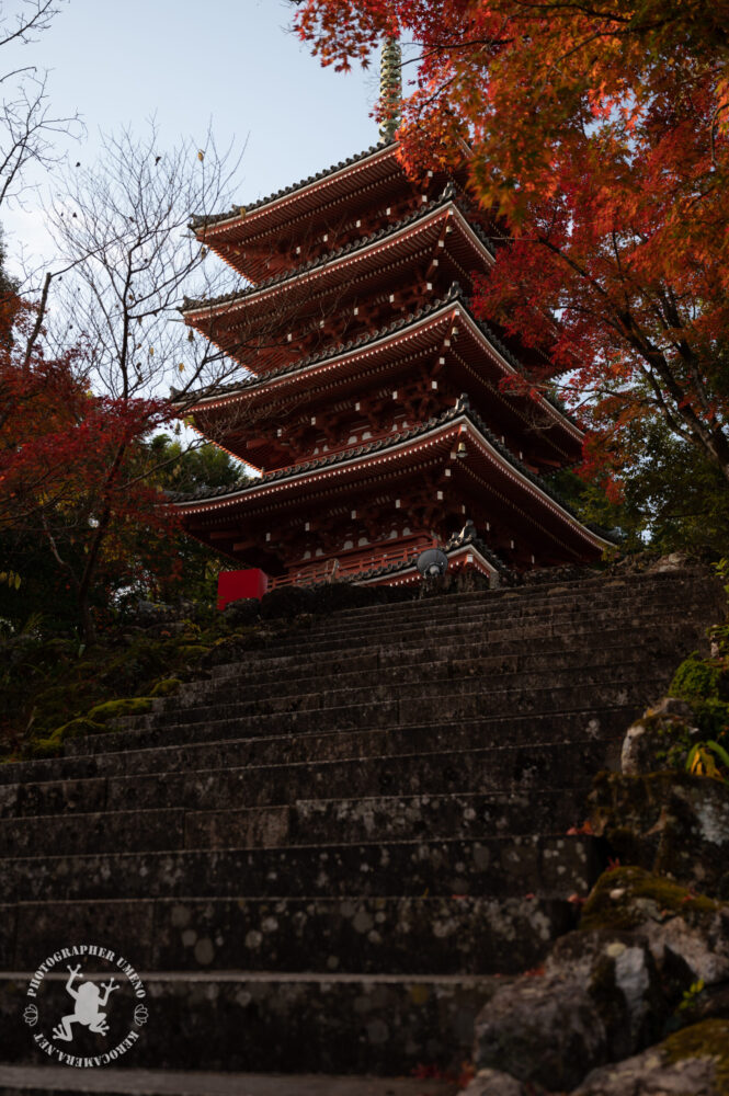 四国霊場第31番札所竹林寺で写真撮影