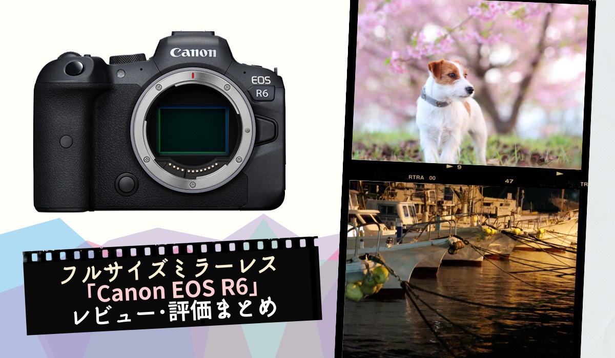 フルサイズミラーレス「Canon EOS R6」のレビューや評価をまとめてみた 