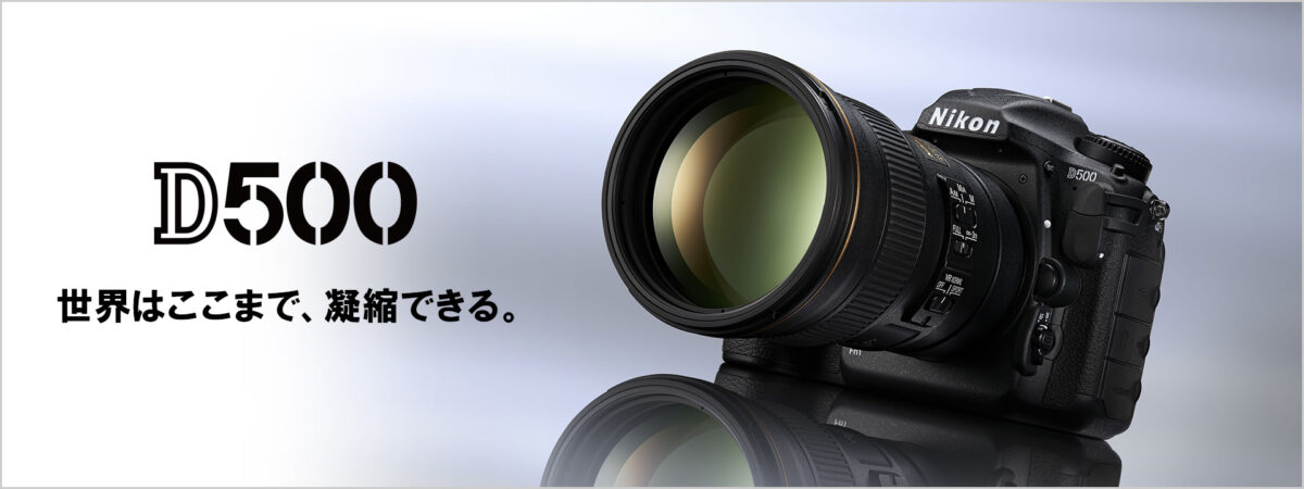 Nikon D500の画像