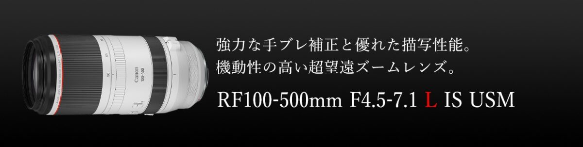 RF100-500mm F4.5-7.1 L IS USMの画像