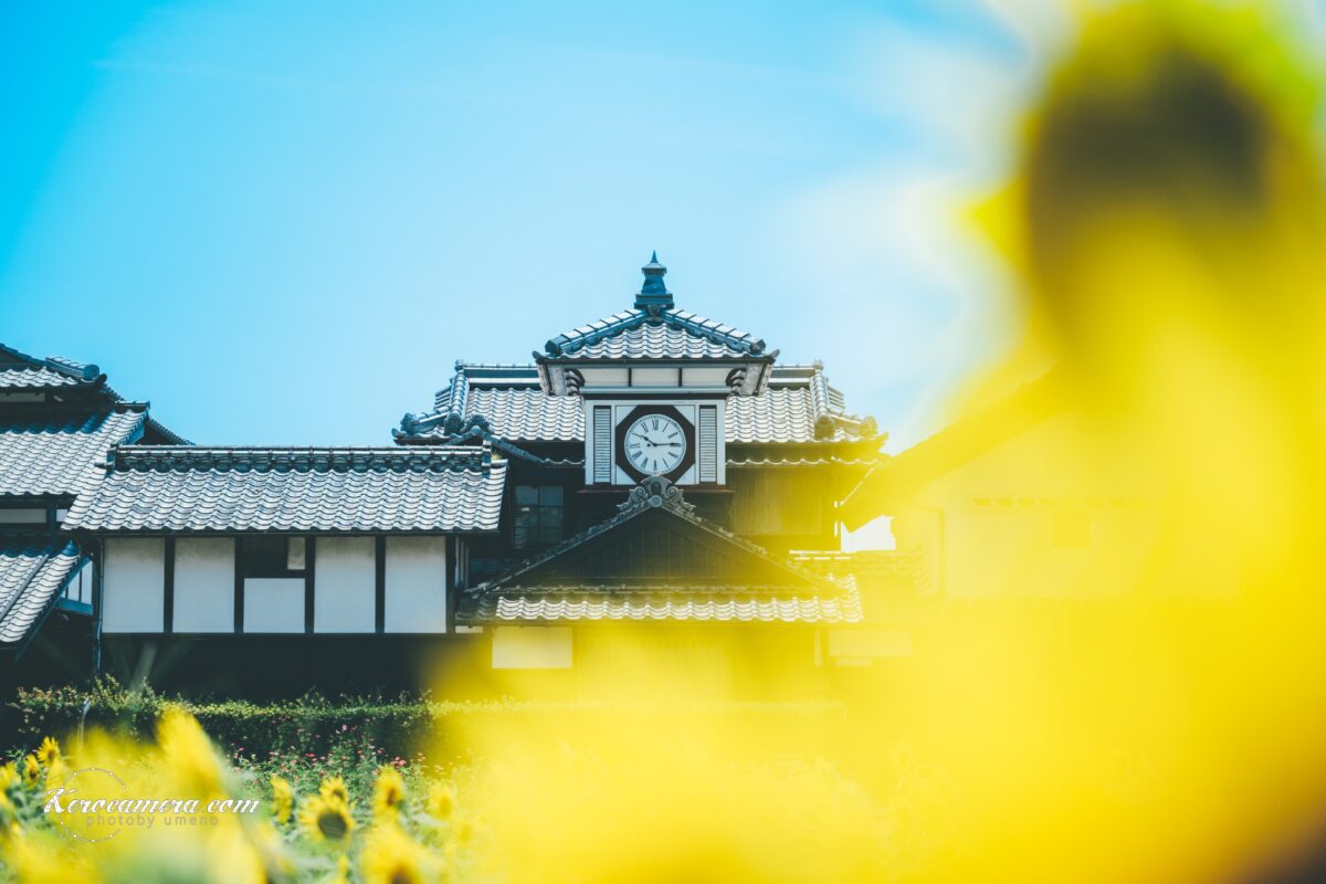高知県安芸市の野良時計を写真撮影