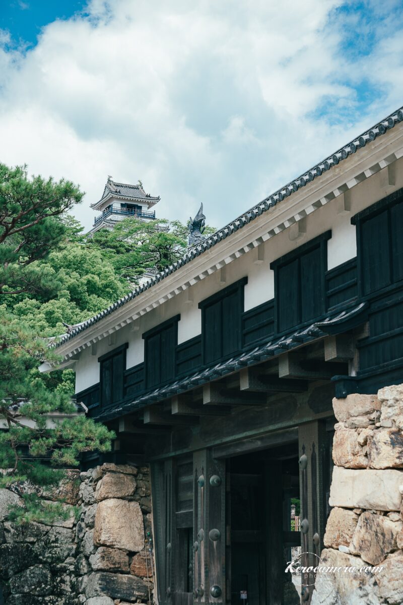 高知県の観光地「高知城」を写真撮影