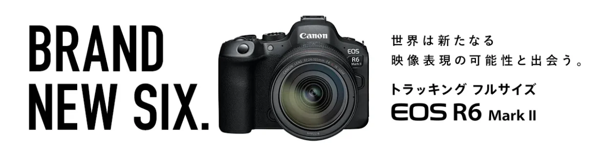 Canon EOS R6 Mark IIの画像