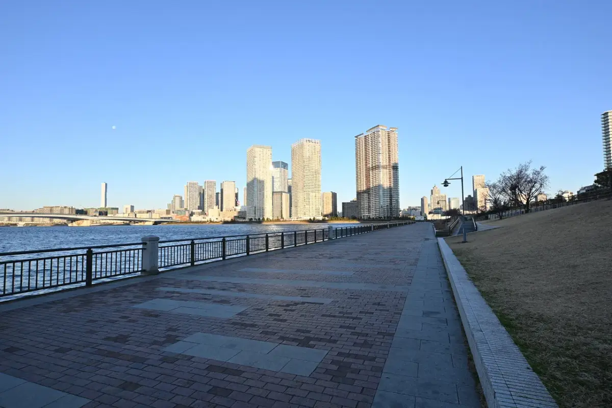 NIKKOR Z DX 12-28mm f/3.5-5.6 PZ VRの画像