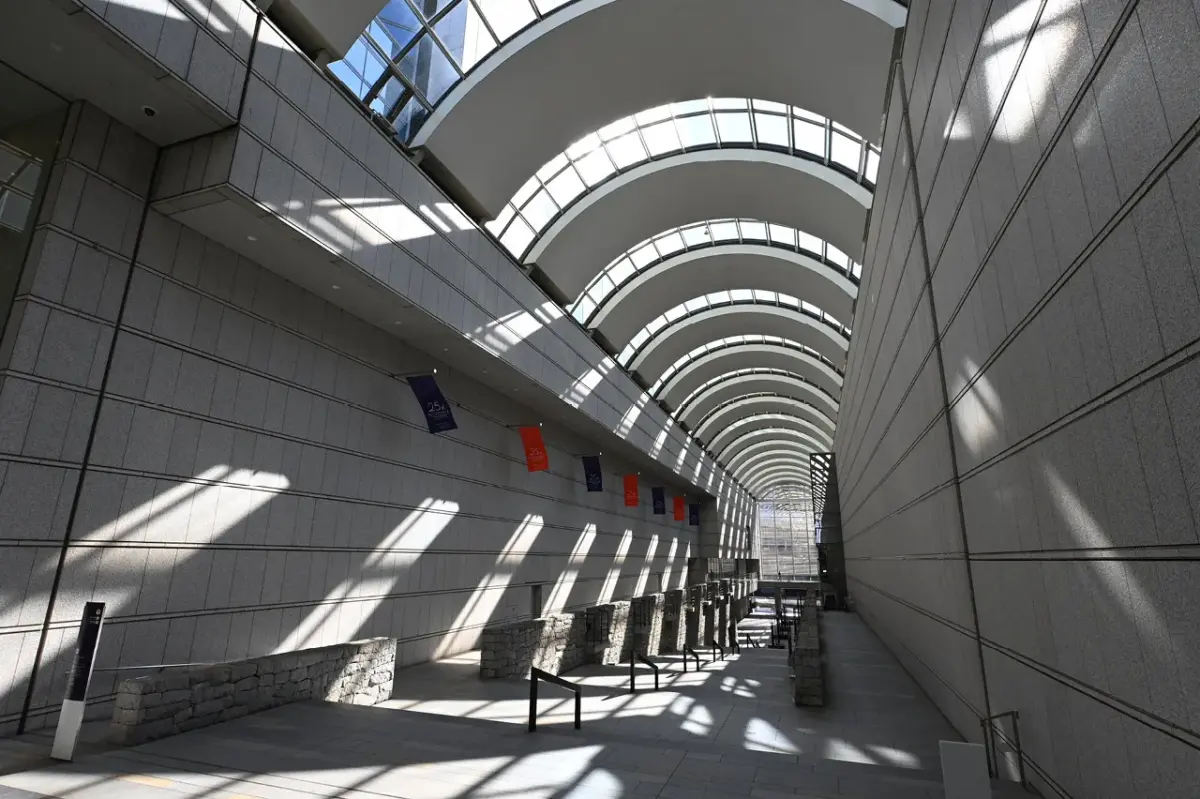 NIKKOR Z DX 12-28mm f/3.5-5.6 PZ VRで撮影した写真