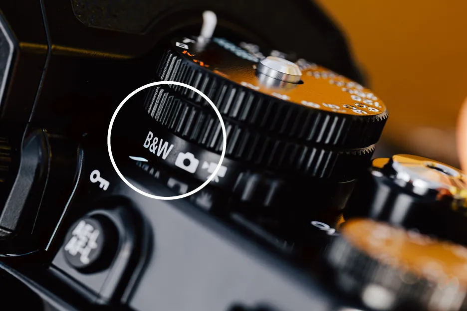 Nikon ZfのB&Wダイヤル