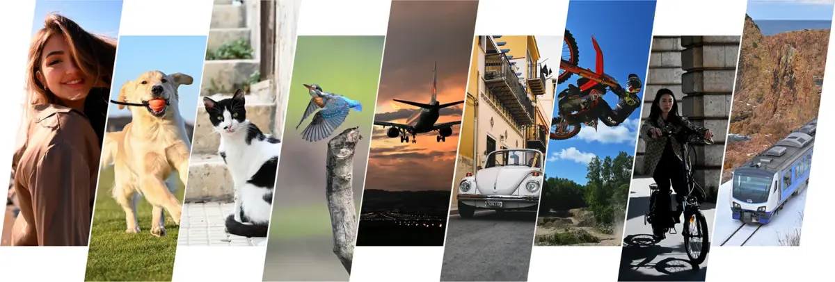 Nikonの9種類の被写体認識を紹介する画像