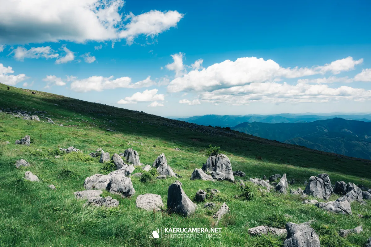 Nikon Z9で撮影した写真