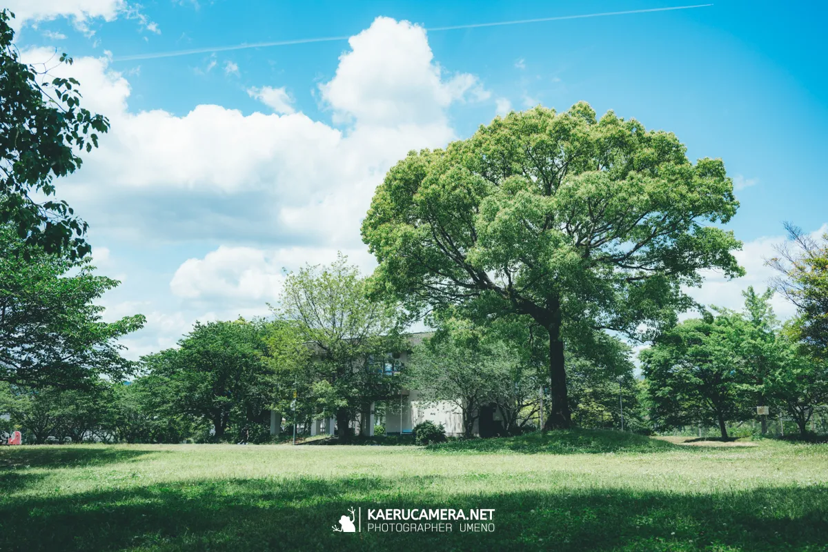 Nikon Z9で撮影した写真